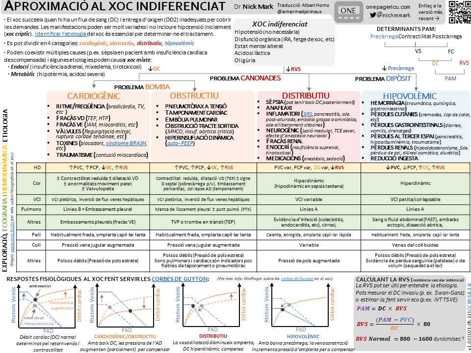 Infografia descrivint la classificació i característiques del xoc indiferenciat